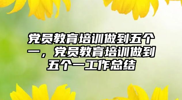 黨員教育培訓(xùn)做到五個(gè)一，黨員教育培訓(xùn)做到五個(gè)一工作總結(jié)