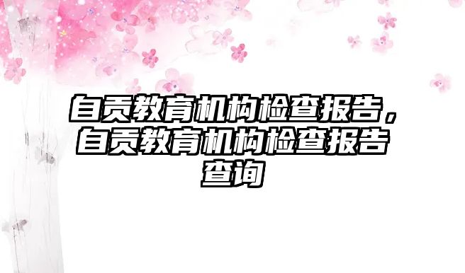 自貢教育機構檢查報告，自貢教育機構檢查報告查詢