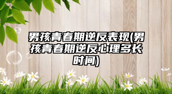 男孩青春期逆反表現(xiàn)(男孩青春期逆反心理多長(zhǎng)時(shí)間)