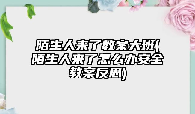 陌生人來了教案大班(陌生人來了怎么辦安全教案反思)