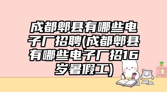 成都郫縣有哪些電子廠招聘(成都郫縣有哪些電子廠招16歲暑假工)