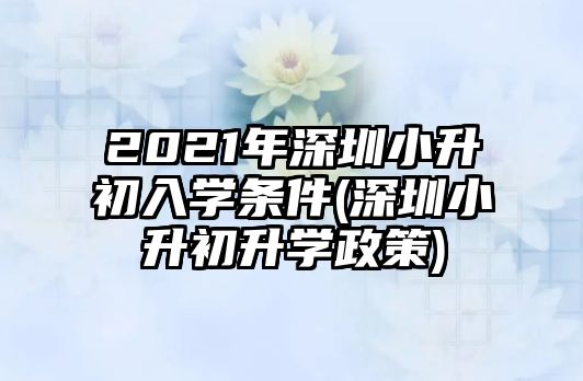 2021年深圳小升初入學(xué)條件(深圳小升初升學(xué)政策)