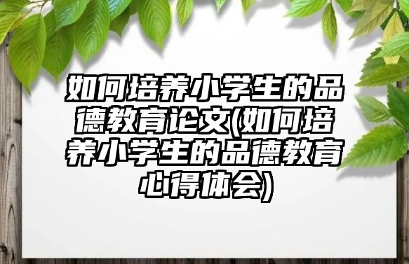 如何培養(yǎng)小學生的品德教育論文(如何培養(yǎng)小學生的品德教育心得體會)