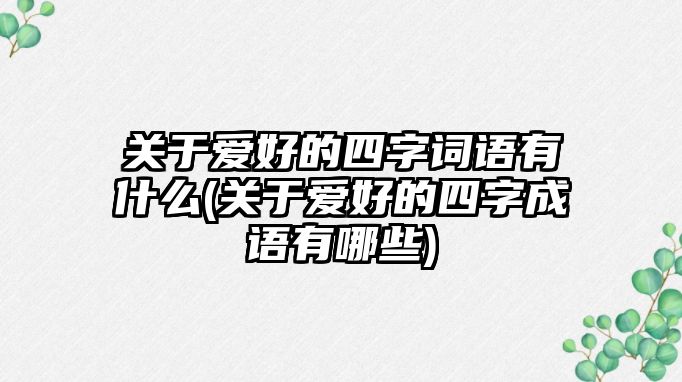 關(guān)于愛(ài)好的四字詞語(yǔ)有什么(關(guān)于愛(ài)好的四字成語(yǔ)有哪些)