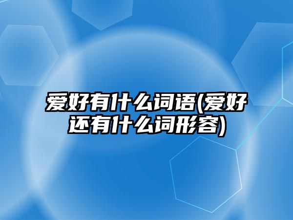 愛好有什么詞語(yǔ)(愛好還有什么詞形容)