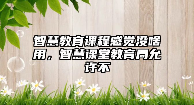 智慧教育課程感覺(jué)沒(méi)啥用，智慧課堂教育局允許不