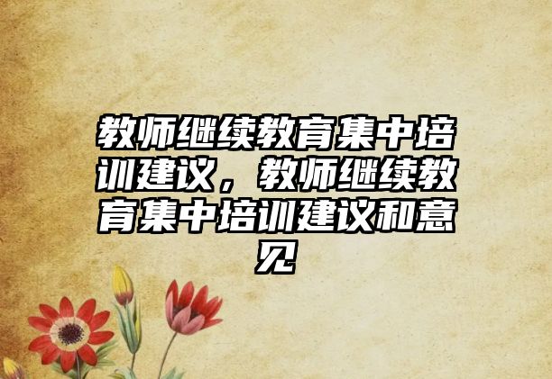 教師繼續(xù)教育集中培訓(xùn)建議，教師繼續(xù)教育集中培訓(xùn)建議和意見(jiàn)