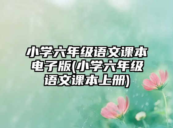 小學(xué)六年級(jí)語(yǔ)文課本電子版(小學(xué)六年級(jí)語(yǔ)文課本上冊(cè))