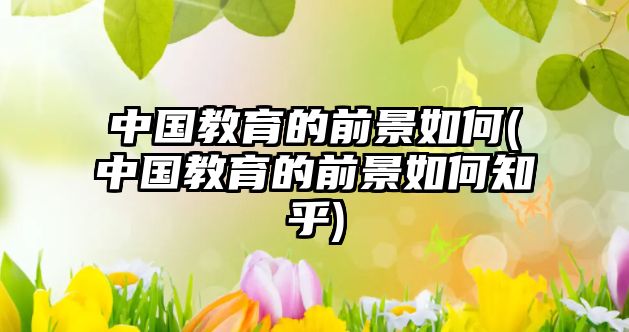 中國教育的前景如何(中國教育的前景如何知乎)