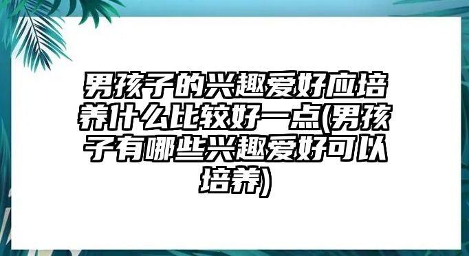 男孩子的興趣愛好應(yīng)培養(yǎng)什么比較好一點(diǎn)(男孩子有哪些興趣愛好可以培養(yǎng))