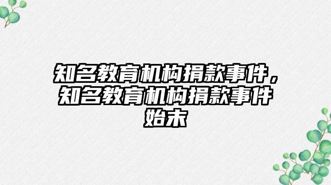 知名教育機構捐款事件，知名教育機構捐款事件始末