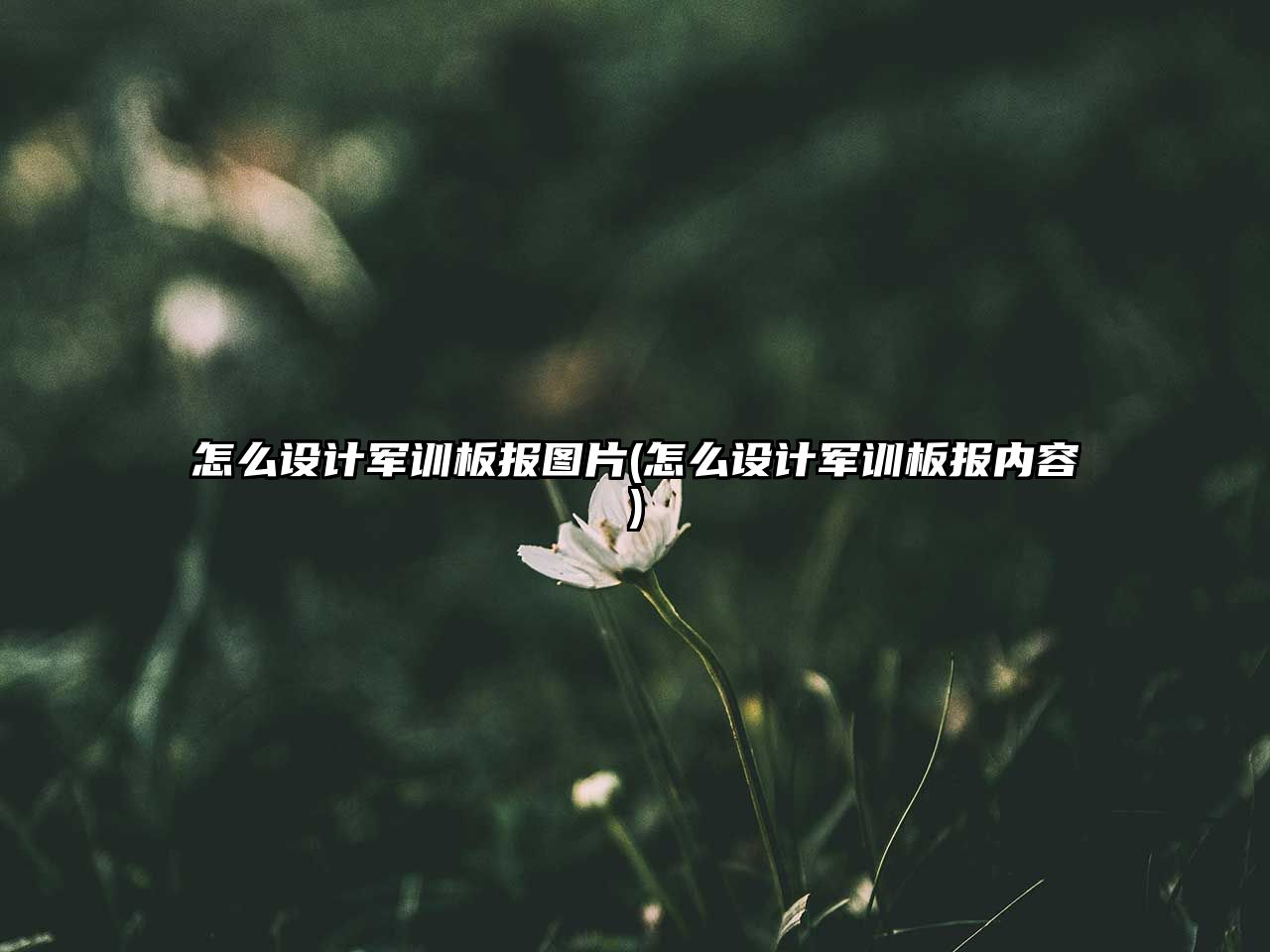 怎么設(shè)計(jì)軍訓(xùn)板報(bào)圖片(怎么設(shè)計(jì)軍訓(xùn)板報(bào)內(nèi)容)