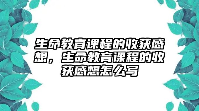 生命教育課程的收獲感想，生命教育課程的收獲感想怎么寫