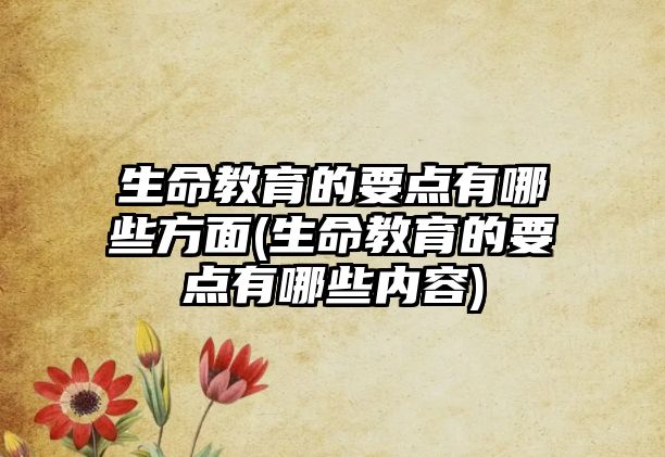 生命教育的要點有哪些方面(生命教育的要點有哪些內(nèi)容)