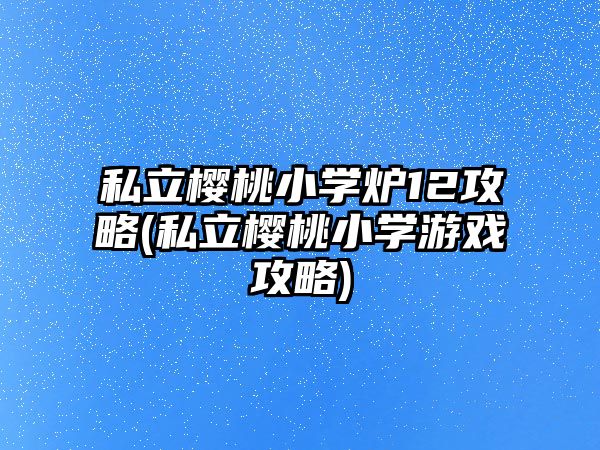 私立櫻桃小學爐12攻略(私立櫻桃小學游戲攻略)