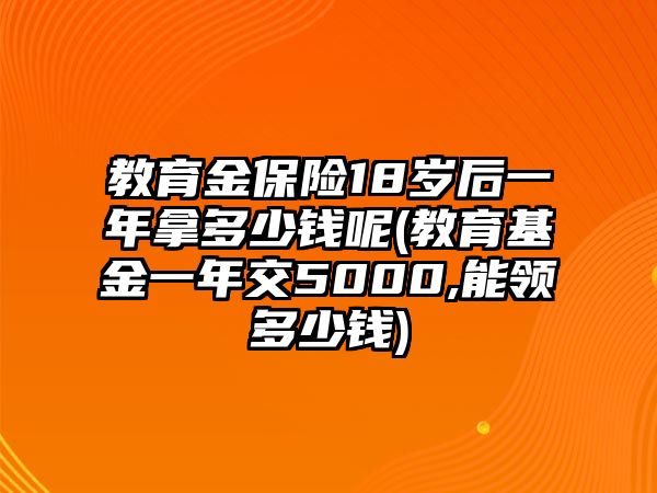 教育金保險18歲后一年拿多少錢呢(教育基金一年交5000,能領多少錢)