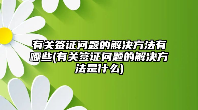 有關(guān)簽證問題的解決方法有哪些(有關(guān)簽證問題的解決方法是什么)