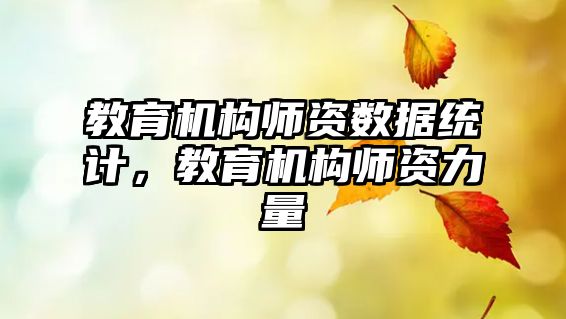 教育機構(gòu)師資數(shù)據(jù)統(tǒng)計，教育機構(gòu)師資力量