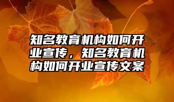 知名教育機構(gòu)如何開業(yè)宣傳，知名教育機構(gòu)如何開業(yè)宣傳文案