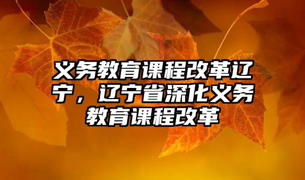 義務教育課程改革遼寧，遼寧省深化義務教育課程改革