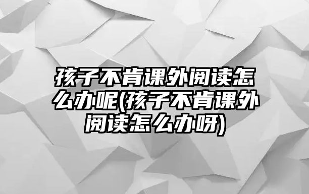 孩子不肯課外閱讀怎么辦呢(孩子不肯課外閱讀怎么辦呀)