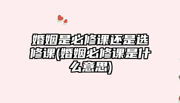 婚姻是必修課還是選修課(婚姻必修課是什么意思)