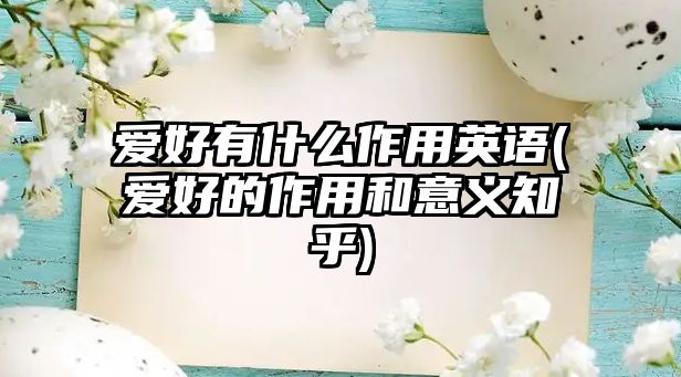 愛好有什么作用英語(愛好的作用和意義知乎)