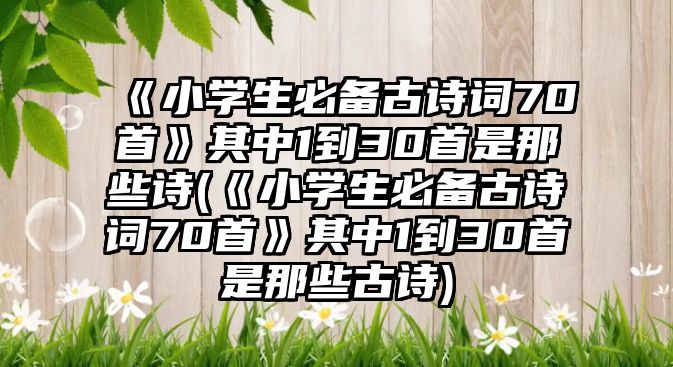 《小學生必備古詩詞70首》其中1到30首是那些詩(《小學生必備古詩詞70首》其中1到30首是那些古詩)