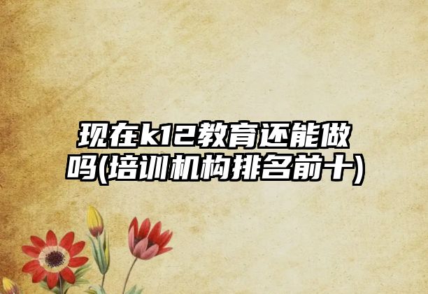 現(xiàn)在k12教育還能做嗎(培訓(xùn)機(jī)構(gòu)排名前十)