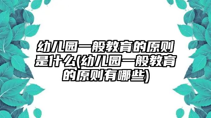 幼兒園一般教育的原則是什么(幼兒園一般教育的原則有哪些)