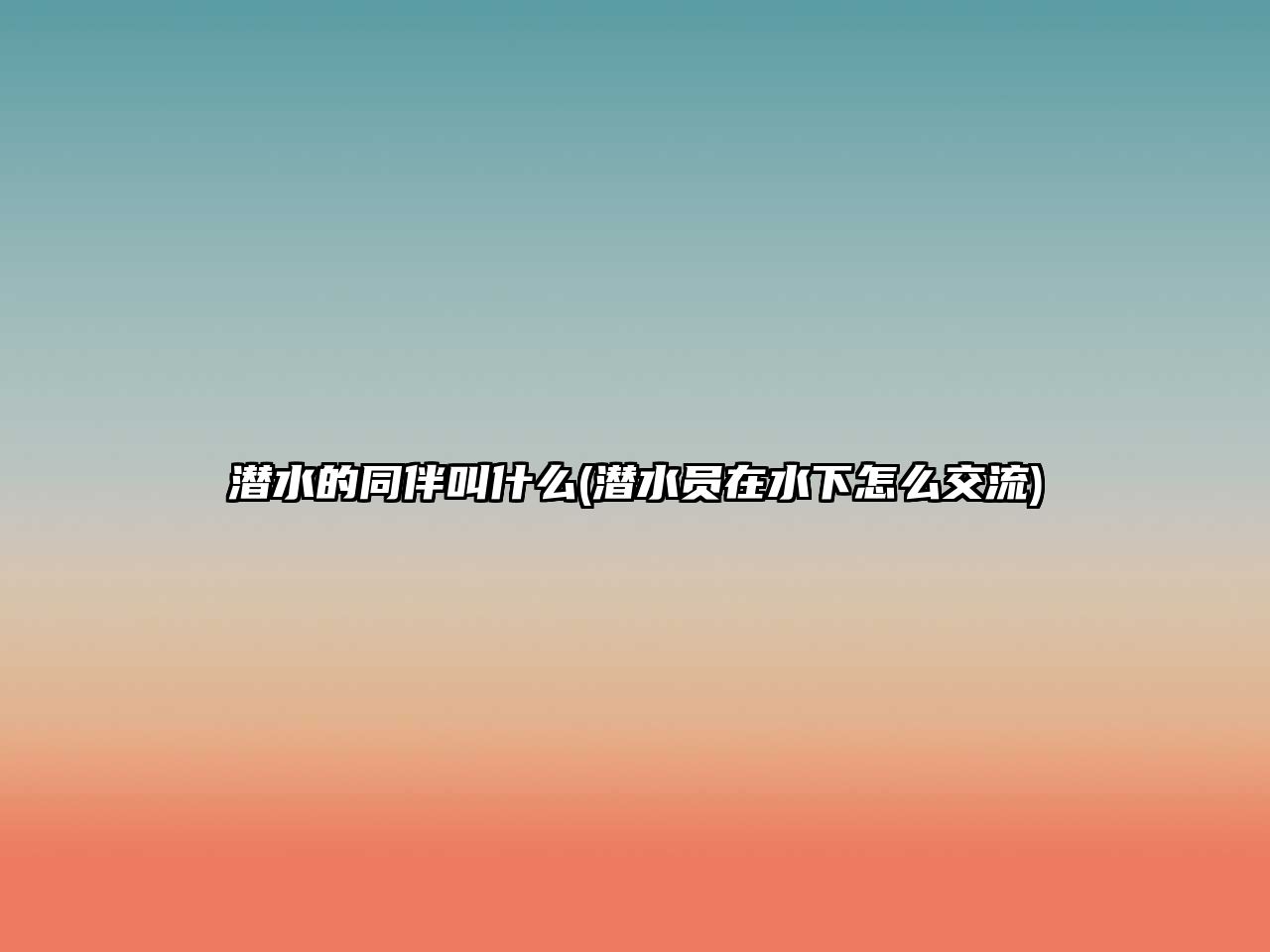 潛水的同伴叫什么(潛水員在水下怎么交流)