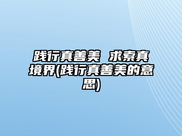 踐行真善美 求索真境界(踐行真善美的意思)