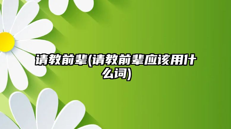 請教前輩(請教前輩應(yīng)該用什么詞)