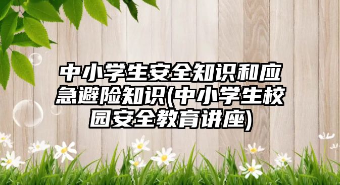 中小學生安全知識和應(yīng)急避險知識(中小學生校園安全教育講座)