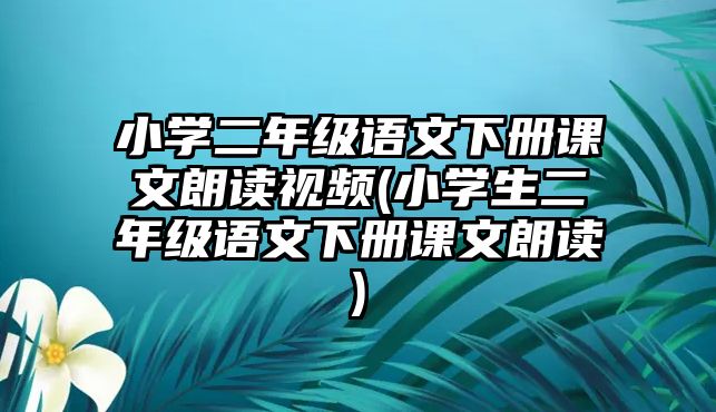 小學(xué)二年級(jí)語(yǔ)文下冊(cè)課文朗讀視頻(小學(xué)生二年級(jí)語(yǔ)文下冊(cè)課文朗讀)