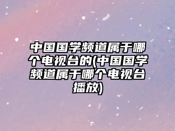 中國國學頻道屬于哪個電視臺的(中國國學頻道屬于哪個電視臺播放)