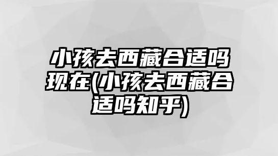 小孩去西藏合適嗎現(xiàn)在(小孩去西藏合適嗎知乎)