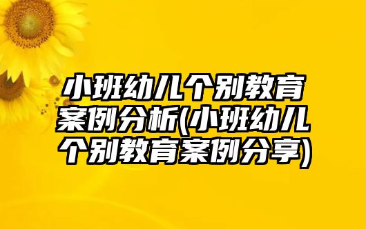 小班幼兒個別教育案例分析(小班幼兒個別教育案例分享)