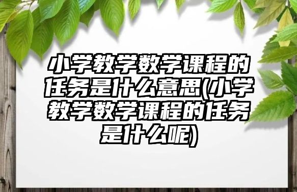 小學教學數(shù)學課程的任務是什么意思(小學教學數(shù)學課程的任務是什么呢)