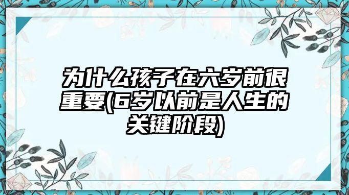 為什么孩子在六歲前很重要(6歲以前是人生的關鍵階段)