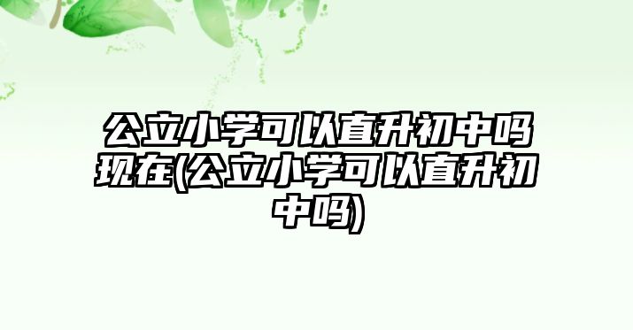 公立小學可以直升初中嗎現(xiàn)在(公立小學可以直升初中嗎)