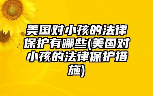 美國對小孩的法律保護有哪些(美國對小孩的法律保護措施)