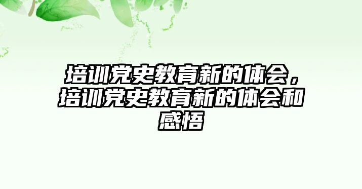 培訓(xùn)黨史教育新的體會(huì)，培訓(xùn)黨史教育新的體會(huì)和感悟