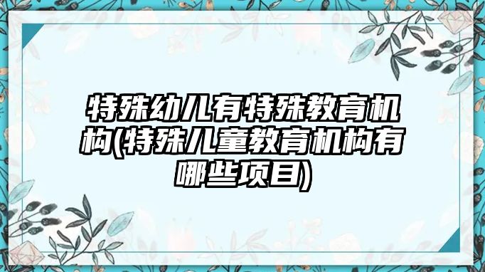 特殊幼兒有特殊教育機構(特殊兒童教育機構有哪些項目)