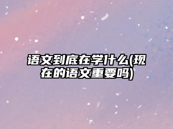 語文到底在學(xué)什么(現(xiàn)在的語文重要嗎)