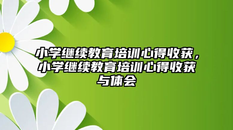 小學(xué)繼續(xù)教育培訓(xùn)心得收獲，小學(xué)繼續(xù)教育培訓(xùn)心得收獲與體會