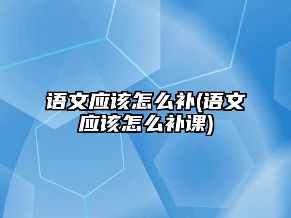 語文應該怎么補(語文應該怎么補課)