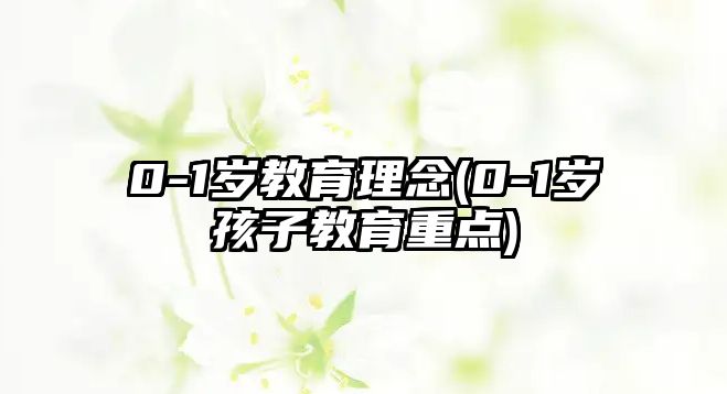 0-1歲教育理念(0-1歲孩子教育重點)