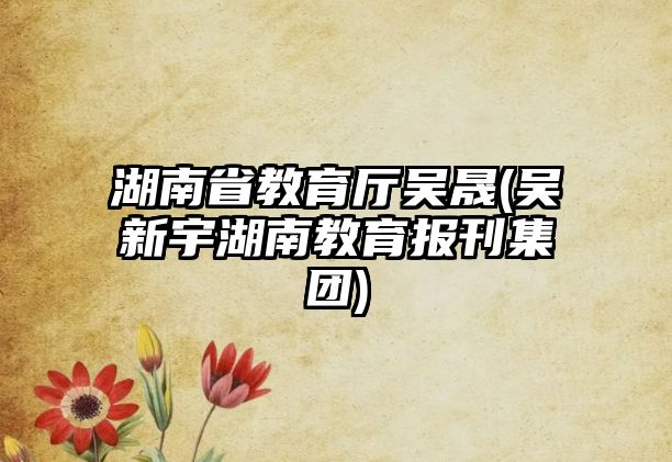 湖南省教育廳吳晟(吳新宇湖南教育報刊集團)