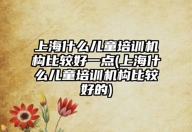 上海什么兒童培訓(xùn)機(jī)構(gòu)比較好一點(diǎn)(上海什么兒童培訓(xùn)機(jī)構(gòu)比較好的)